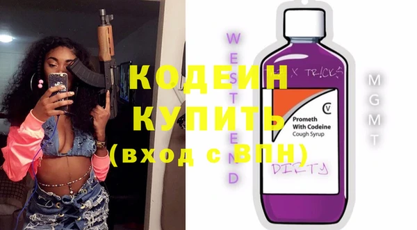 прущие грибы Инсар