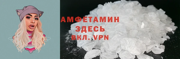 прущие грибы Инсар
