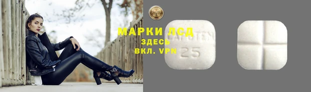 прущие грибы Инсар