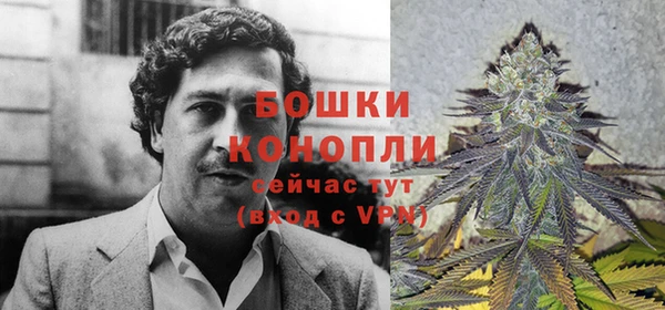 кристаллы Инта