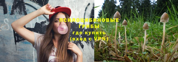 кристаллы Инта