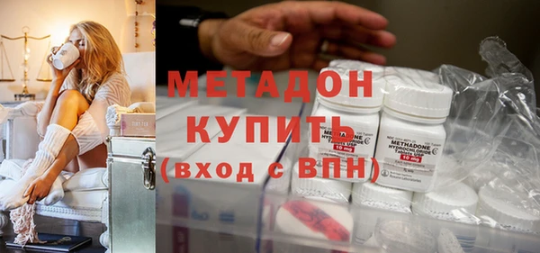 прущие грибы Инсар