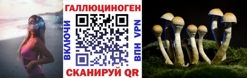 Псилоцибиновые грибы прущие грибы  Костерёво 