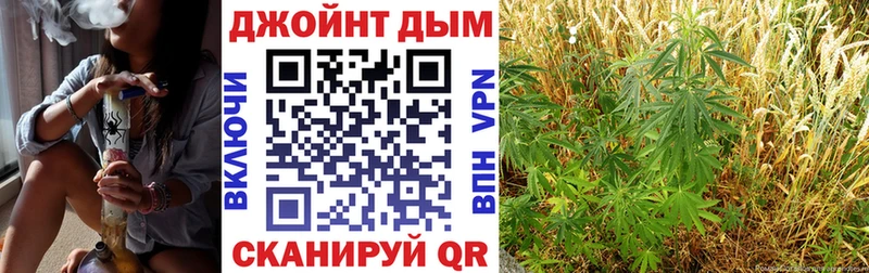 Каннабис OG Kush  Костерёво 